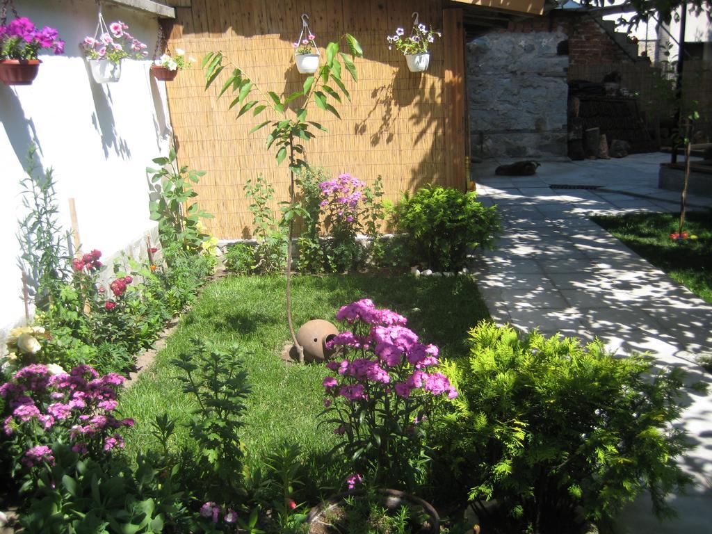 Aseva House Guest House Bansko Extérieur photo