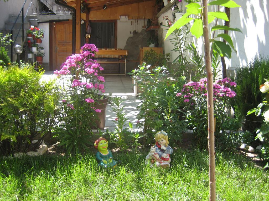 Aseva House Guest House Bansko Extérieur photo
