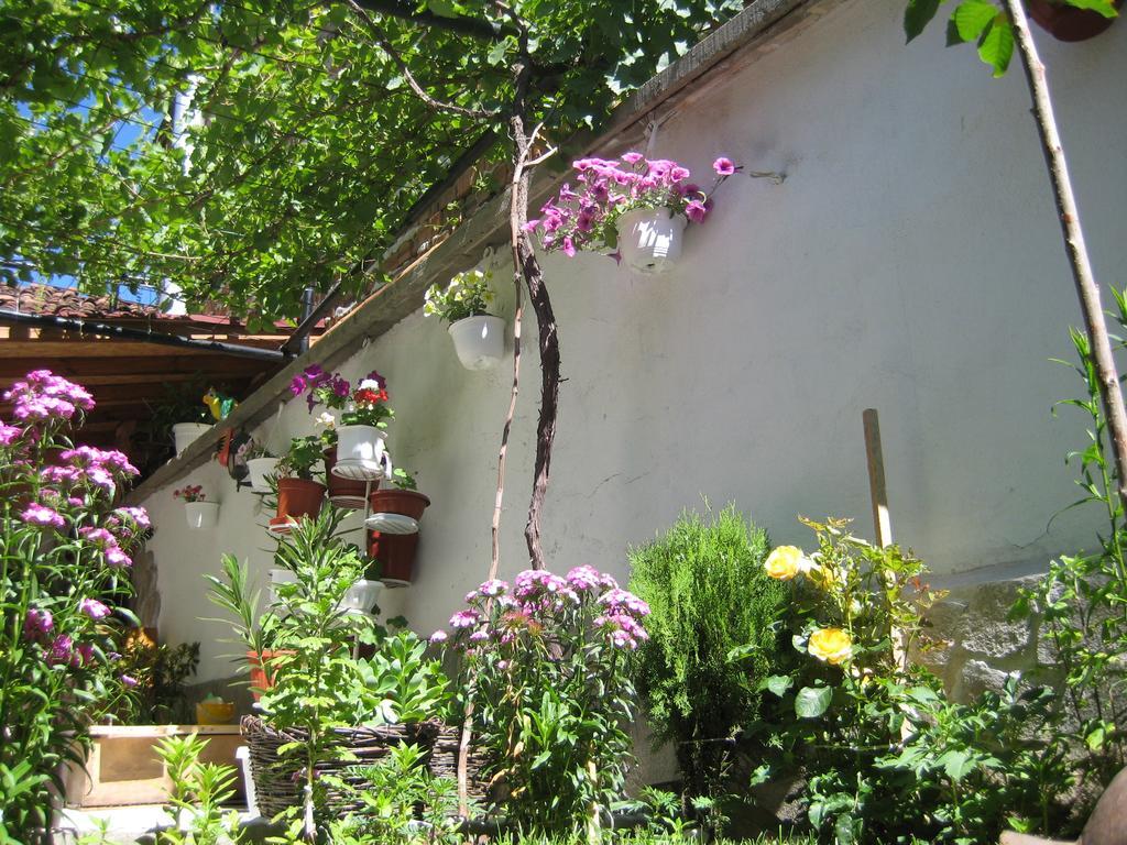 Aseva House Guest House Bansko Extérieur photo