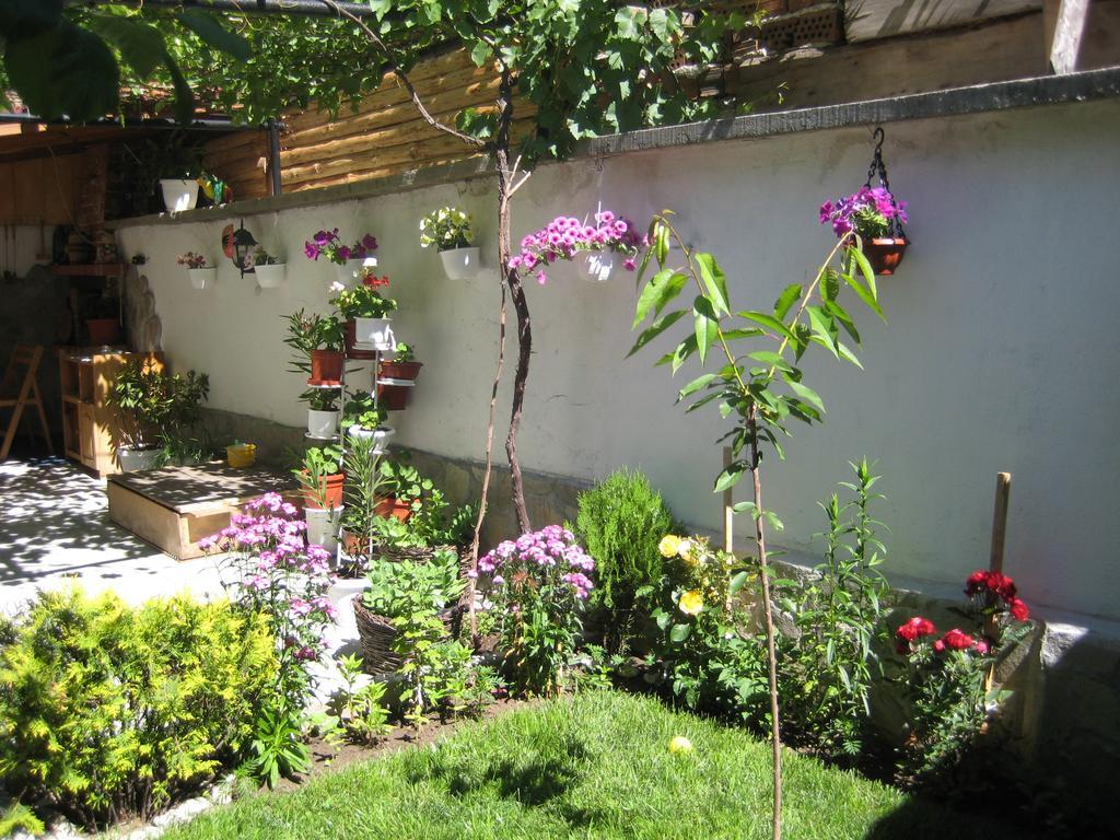 Aseva House Guest House Bansko Extérieur photo