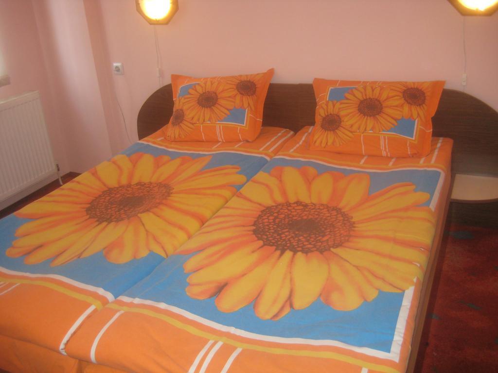 Aseva House Guest House Bansko Extérieur photo