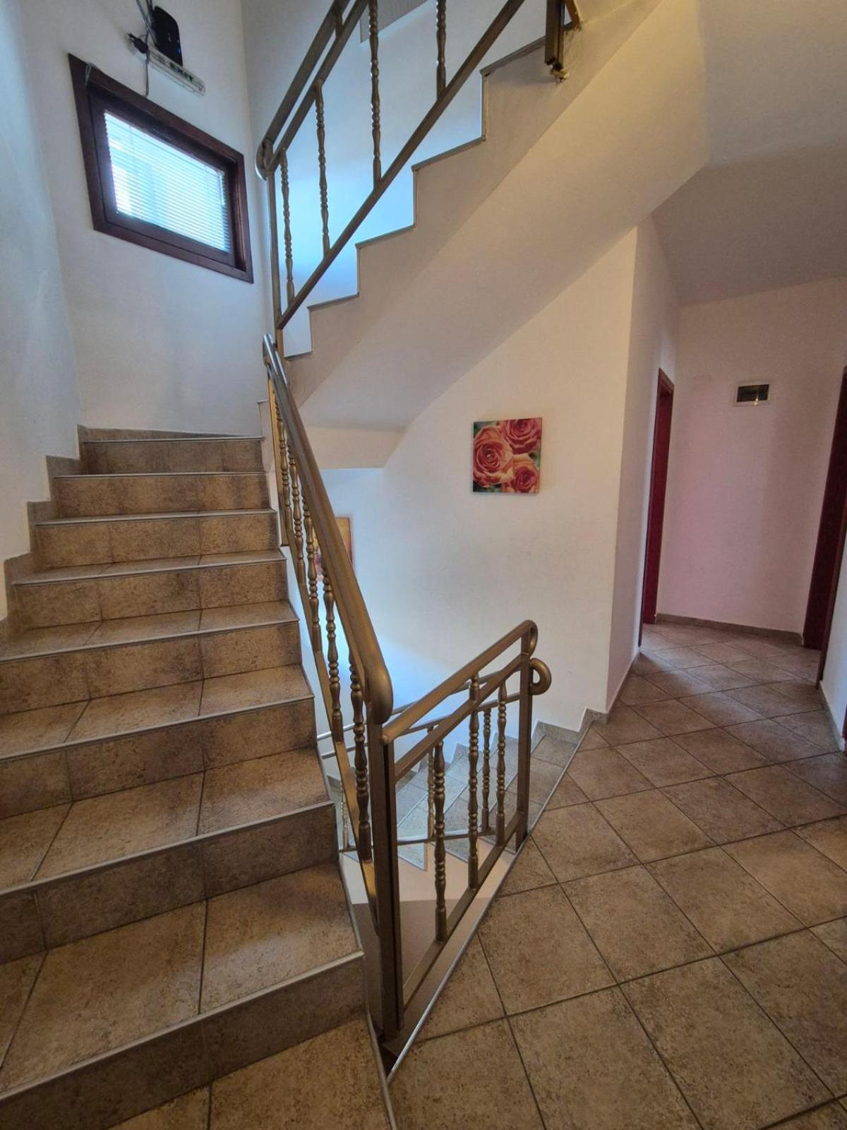 Aseva House Guest House Bansko Extérieur photo